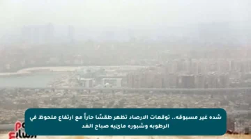 شدة غير مسبوقة.. توقعات الأرصاد تظهر طقسًا حاراً مع ارتفاع ملحوظ في الرطوبة وشبورة مائية صباح الغد